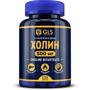 GLS Холин Капсулы 120 шт